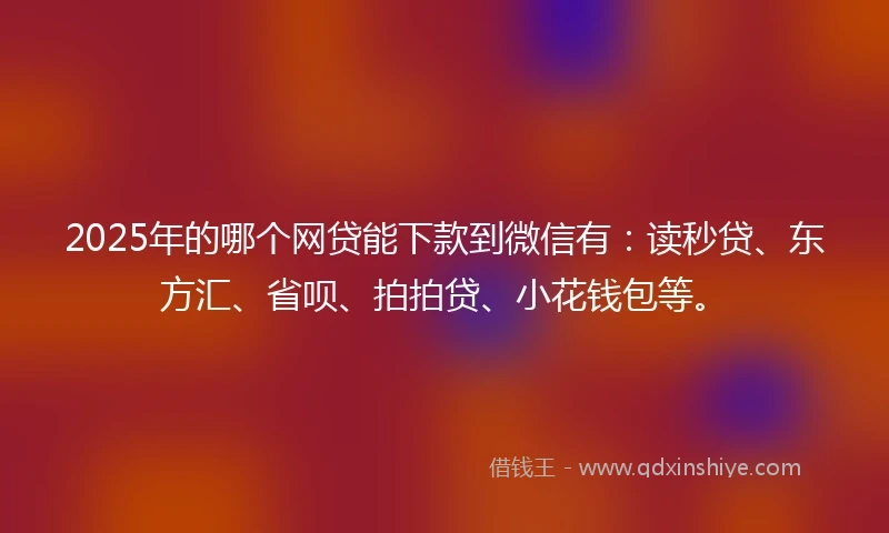 2025年的哪个网贷能下款到微信有：读秒贷、东方汇、省呗、拍拍贷、小花钱包等。