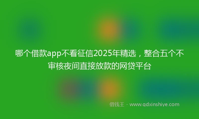 哪个借款app不看征信2025年精选，整合五个不审核夜间直接放款的网贷平台