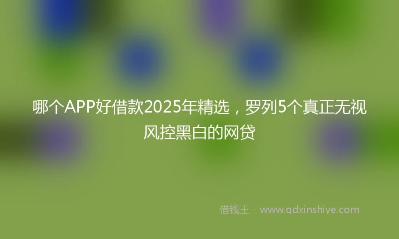 哪个APP好借款2025年精选，罗列5个真正无视风控黑白的网贷