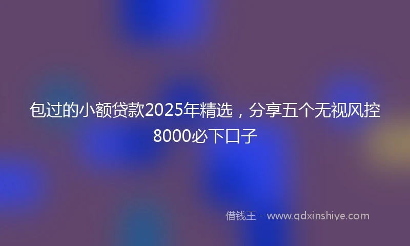 包过的小额贷款2025年精选，分享五个无视风控8000必下口子