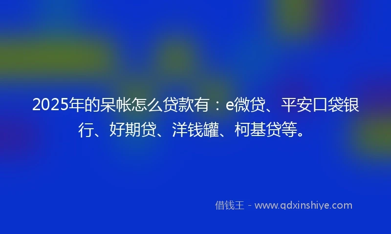 2025年的呆帐怎么贷款有：e微贷、平安口袋银行、好期贷、洋钱罐、柯基贷等。