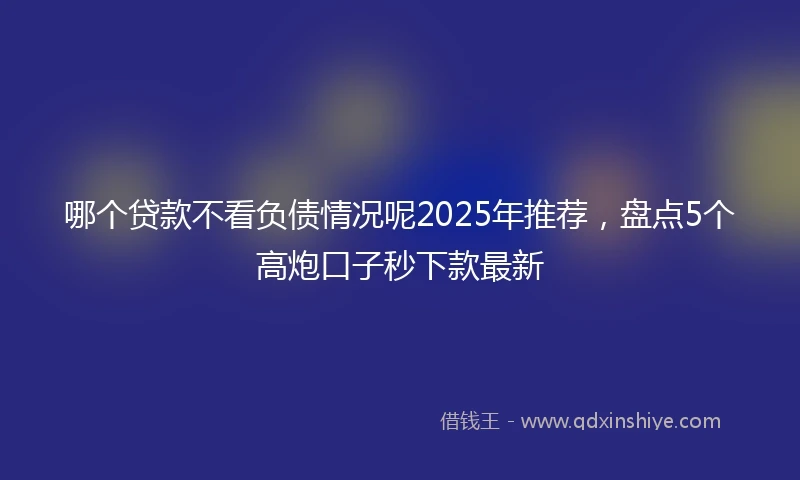 哪个贷款不看负债情况呢2025年推荐，盘点5个高炮口子秒下款最新