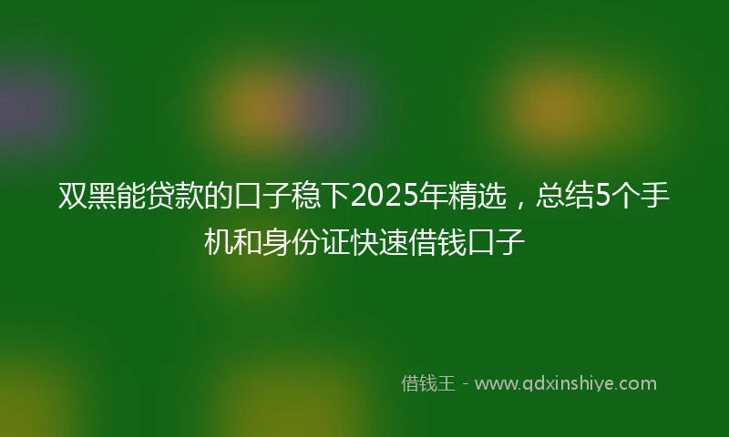 双黑能贷款的口子稳下2025年精选，总结5个手机和身份证快速借钱口子