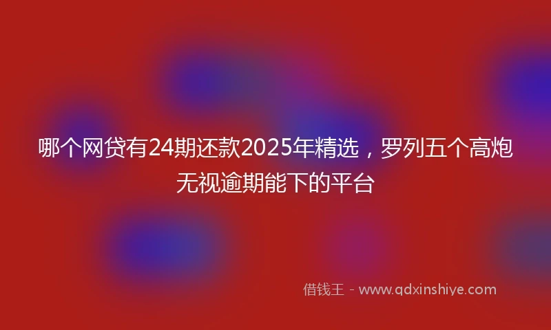 哪个网贷有24期还款2025年精选，罗列五个高炮无视逾期能下的平台