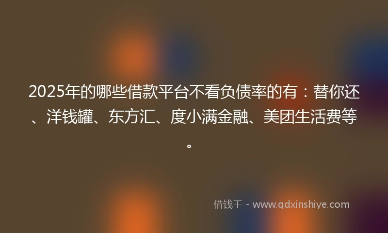 2025年的哪些借款平台不看负债率的有：替你还、洋钱罐、东方汇、度小满金融、美团生活费等。