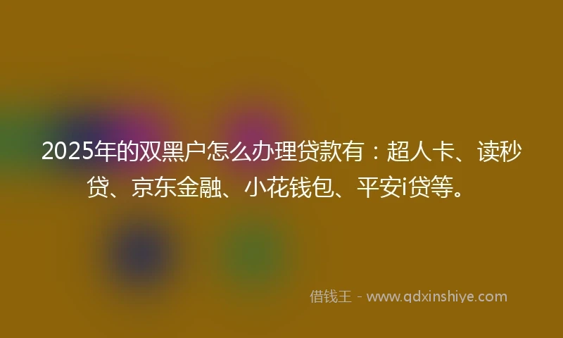 2025年的双黑户怎么办理贷款有：超人卡、读秒贷、京东金融、小花钱包、平安i贷等。