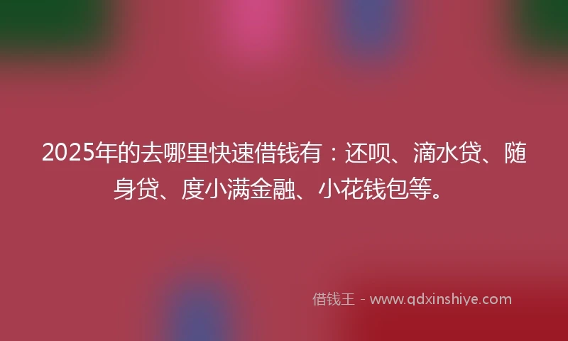 2025年的去哪里快速借钱有：还呗、滴水贷、随身贷、度小满金融、小花钱包等。
