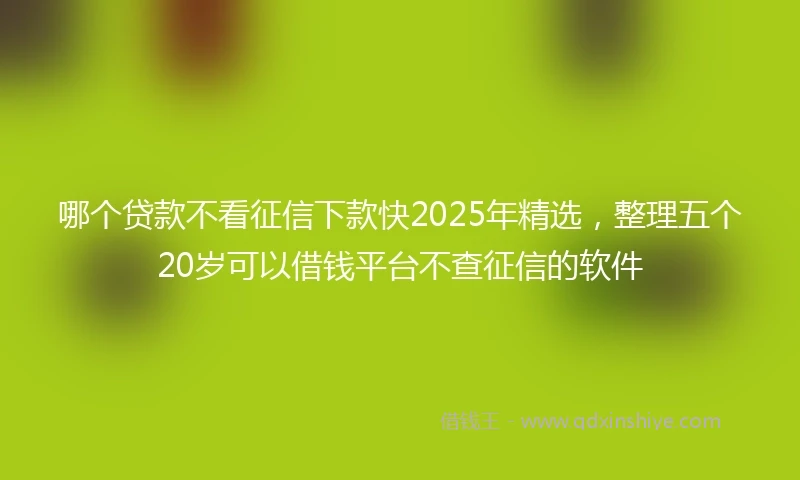 哪个贷款不看征信下款快2025年精选，整理五个20岁可以借钱平台不查征信的软件