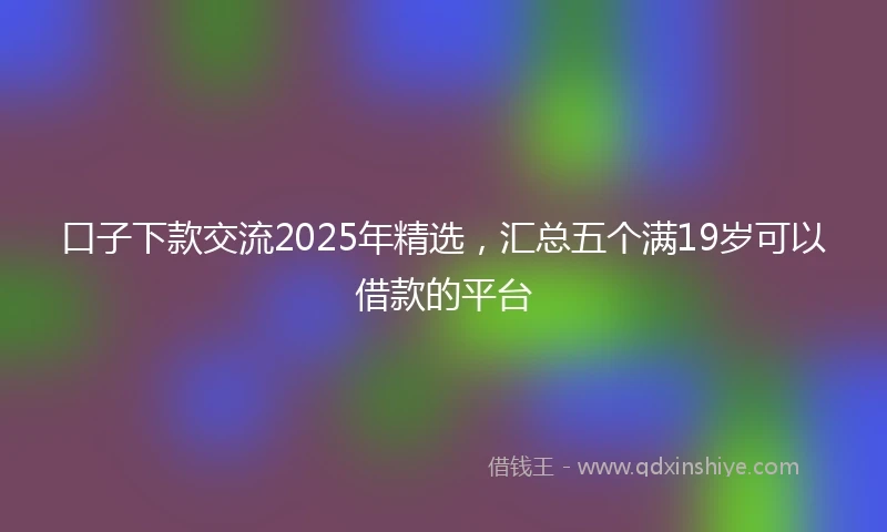 口子下款交流2025年精选，汇总五个满19岁可以借款的平台