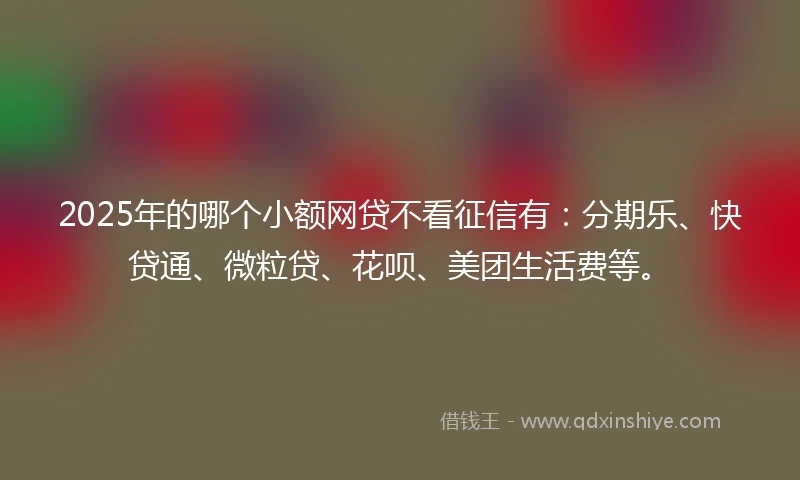 2025年的哪个小额网贷不看征信有：分期乐、快贷通、微粒贷、花呗、美团生活费等。