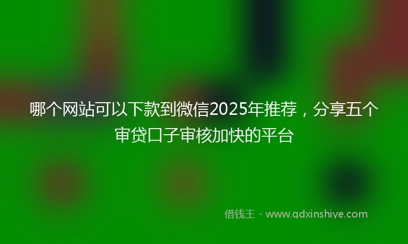 哪个网站可以下款到微信2025年推荐，分享五个审贷口子审核加快的平台