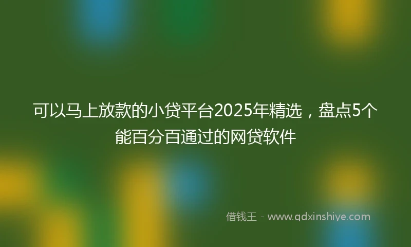 可以马上放款的小贷平台2025年精选，盘点5个能百分百通过的网贷软件