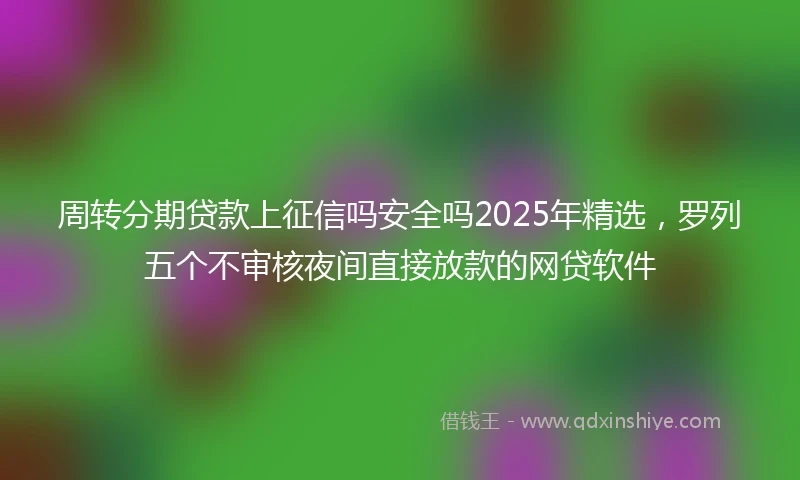 周转分期贷款上征信吗安全吗2025年精选，罗列五个不审核夜间直接放款的网贷软件