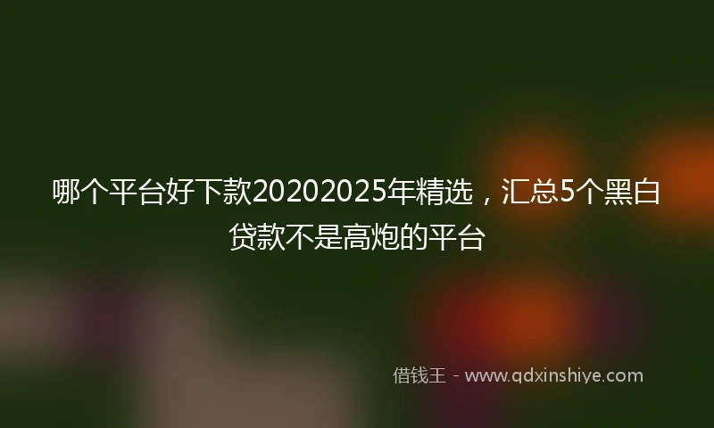哪个平台好下款20202025年精选，汇总5个黑白贷款不是高炮的平台