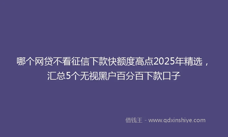 哪个网贷不看征信下款快额度高点2025年精选，汇总5个无视黑户百分百下款口子