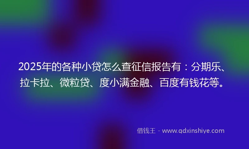 2025年的各种小贷怎么查征信报告有：分期乐、拉卡拉、微粒贷、度小满金融、百度有钱花等。