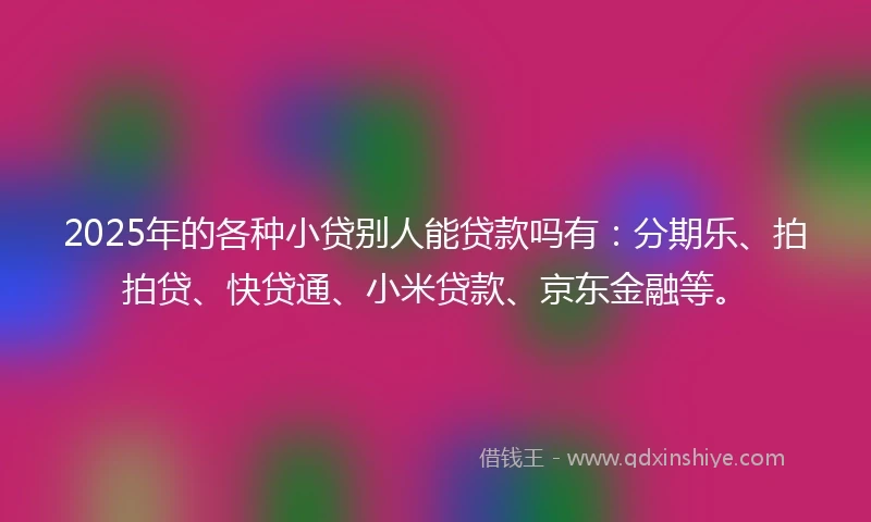 2025年的各种小贷别人能贷款吗有：分期乐、拍拍贷、快贷通、小米贷款、京东金融等。
