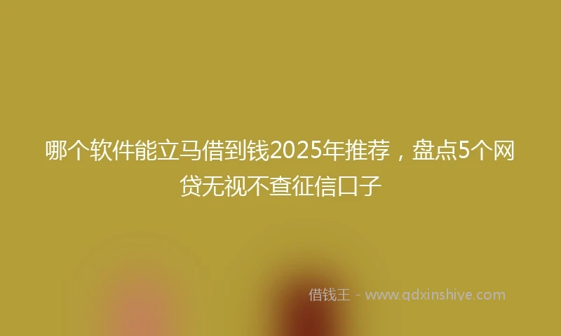 哪个软件能立马借到钱2025年推荐，盘点5个网贷无视不查征信口子