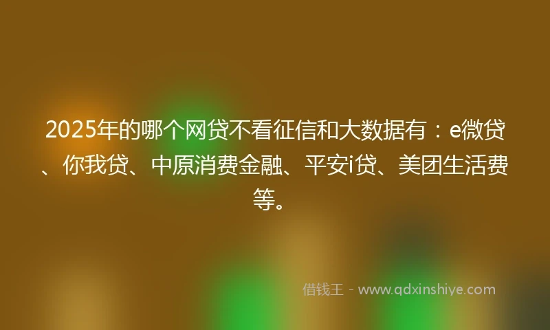 2025年的哪个网贷不看征信和大数据有:e微贷、你我贷、中原消费金融、平安i贷、美团生活费等。
