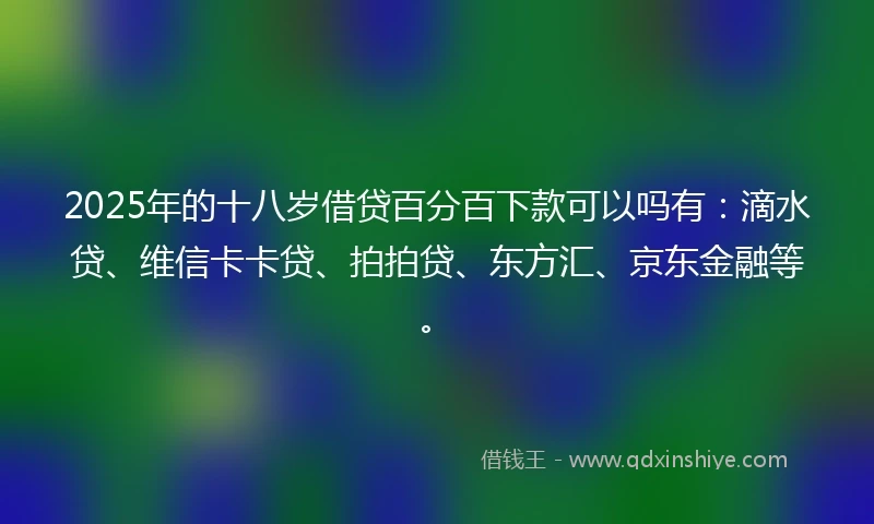 2025年的十八岁借贷百分百下款可以吗有：滴水贷、维信卡卡贷、拍拍贷、东方汇、京东金融等。