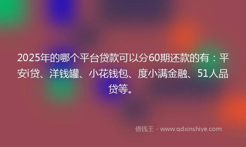 2025年的哪个平台贷款可以分60期还款的有：平安i贷、洋钱罐、小花钱包、度小满金融、51人品贷等。