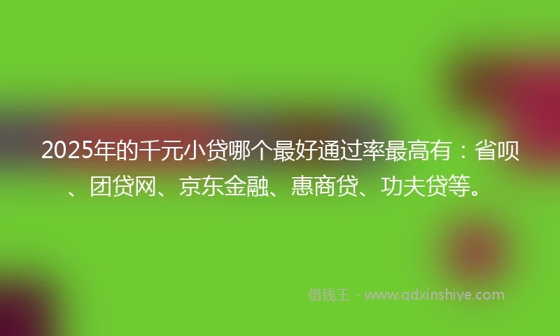 2025年的千元小贷哪个最好通过率最高有：省呗、团贷网、京东金融、惠商贷、功夫贷等。