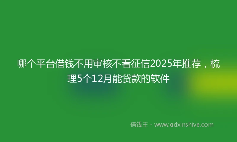 哪个平台借钱不用审核不看征信2025年推荐，梳理5个12月能贷款的软件