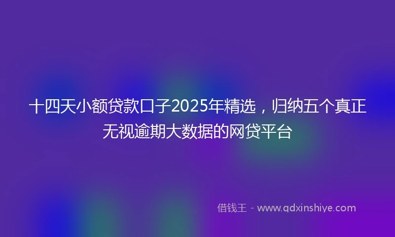 十四天小额贷款口子2025年精选，归纳五个真正无视逾期大数据的网贷平台