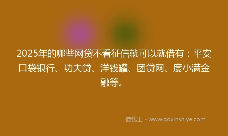 2025年的哪些网贷不看征信就可以就借有：平安口袋银行、功夫贷、洋钱罐、团贷网、度小满金融等。