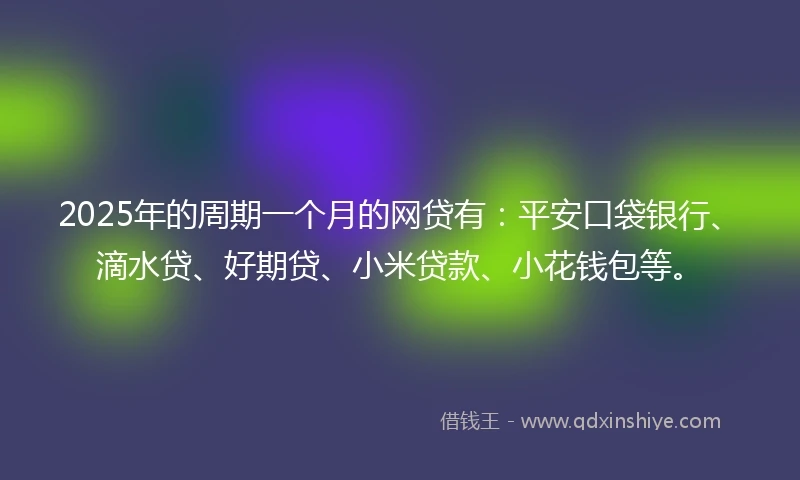 2025年的周期一个月的网贷有：平安口袋银行、滴水贷、好期贷、小米贷款、小花钱包等。