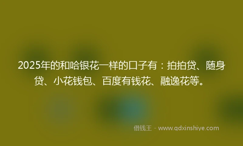 2025年的和哈银花一样的口子有：拍拍贷、随身贷、小花钱包、百度有钱花、融逸花等。