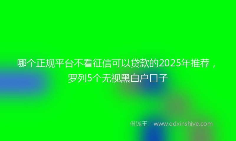 哪个正规平台不看征信可以贷款的2025年推荐，罗列5个无视黑白户口子