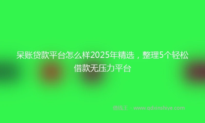 呆账贷款平台怎么样2025年精选，整理5个轻松借款无压力平台
