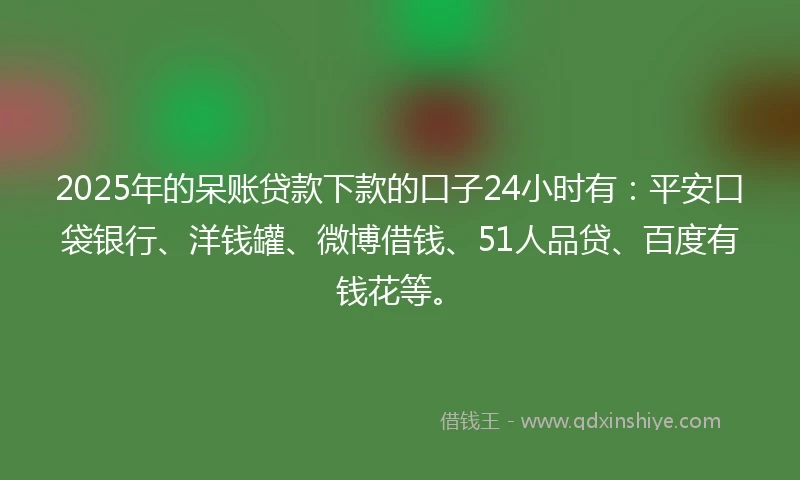 2025年的呆账贷款下款的口子24小时有：平安口袋银行、洋钱罐、微博借钱、51人品贷、百度有钱花等。