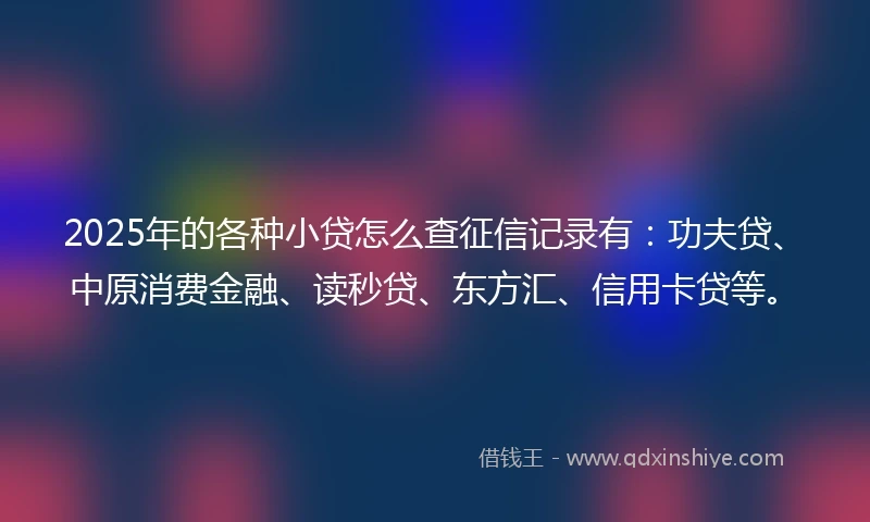 2025年的各种小贷怎么查征信记录有:功夫贷、中原消费金融、读秒贷、东方汇、信用卡贷等。