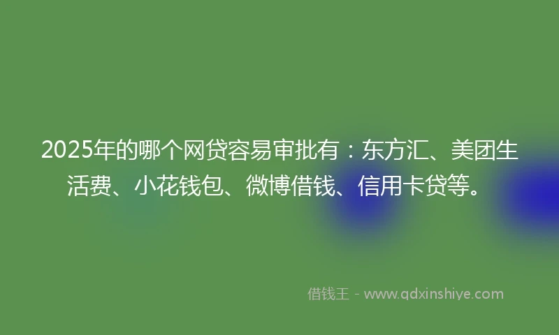 2025年的哪个网贷容易审批有：东方汇、美团生活费、小花钱包、微博借钱、信用卡贷等。