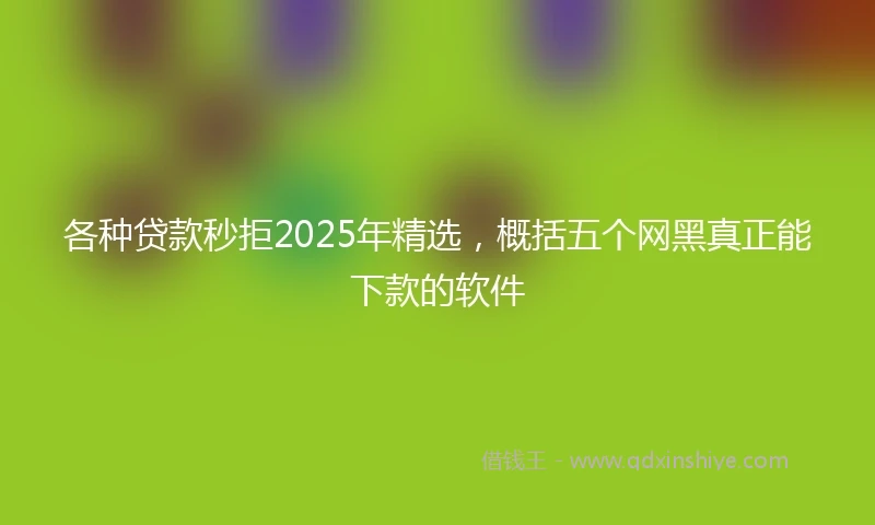 各种贷款秒拒2025年精选，概括五个网黑真正能下款的软件