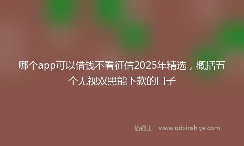 哪个app可以借钱不看征信2025年精选，概括五个无视双黑能下款的口子
