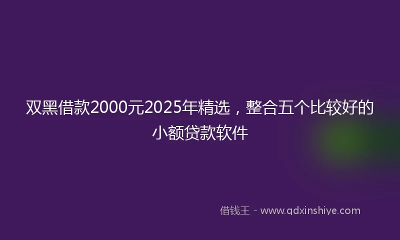 双黑借款2000元2025年精选，整合五个比较好的小额贷款软件