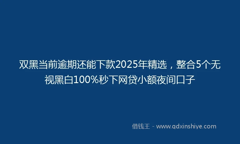 双黑当前逾期还能下款2025年精选，整合5个无视黑白100%秒下网贷小额夜间口子