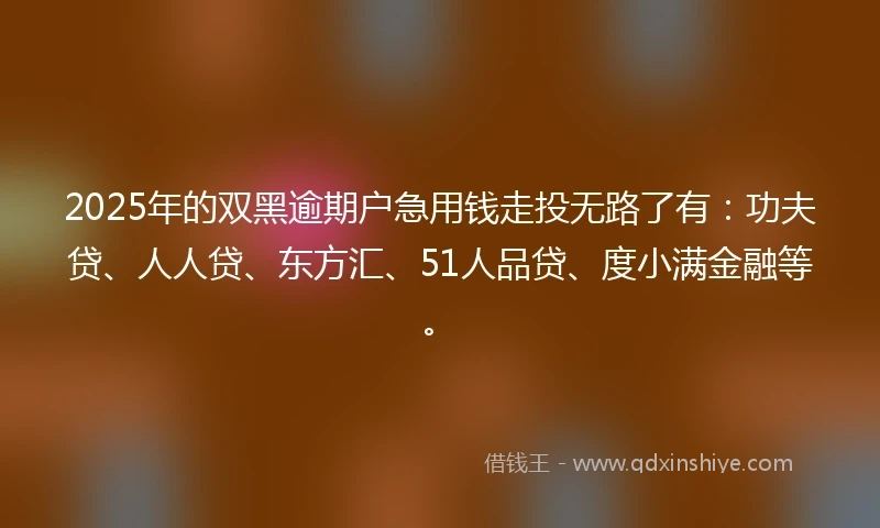 2025年的双黑逾期户急用钱走投无路了有：功夫贷、人人贷、东方汇、51人品贷、度小满金融等。