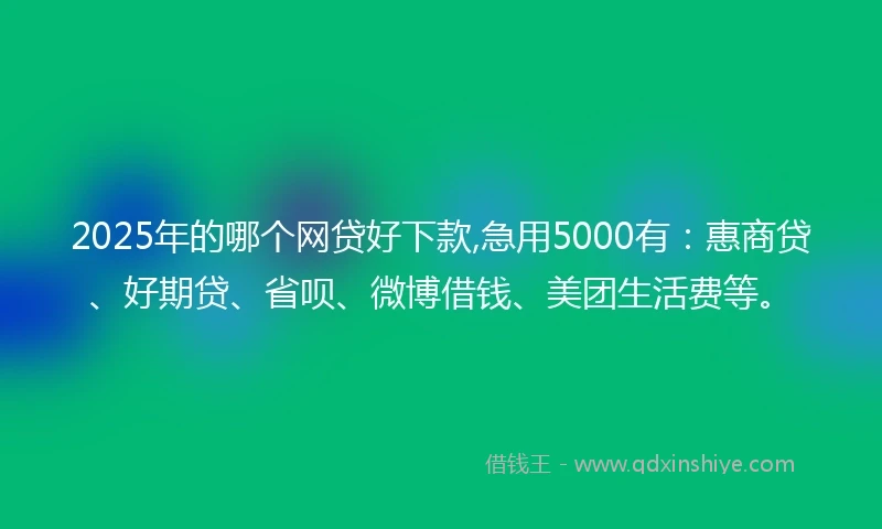 2025年的哪个网贷好下款,急用5000有：惠商贷、好期贷、省呗、微博借钱、美团生活费等。