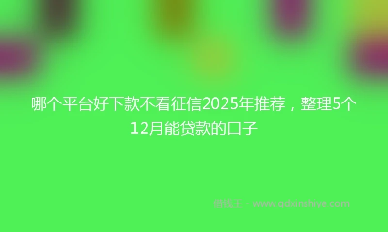 哪个平台好下款不看征信2025年推荐，整理5个12月能贷款的口子