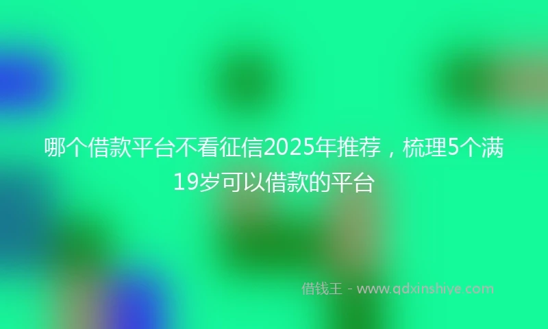 哪个借款平台不看征信2025年推荐，梳理5个满19岁可以借款的平台