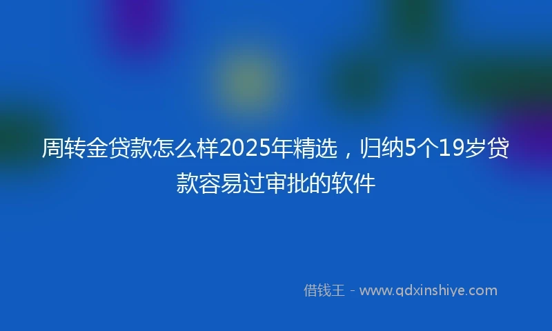周转金贷款怎么样2025年精选，归纳5个19岁贷款容易过审批的软件