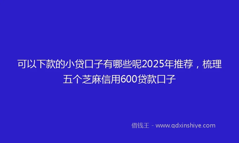 可以下款的小贷口子有哪些呢2025年推荐，梳理五个芝麻信用600贷款口子