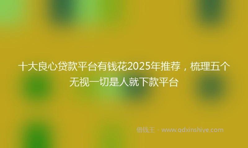 十大良心贷款平台有钱花2025年推荐，梳理五个无视一切是人就下款平台