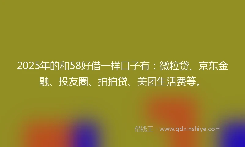 2025年的和58好借一样口子有：微粒贷、京东金融、投友圈、拍拍贷、美团生活费等。