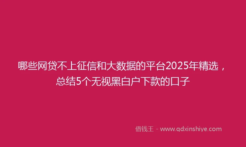 哪些网贷不上征信和大数据的平台2025年精选，总结5个无视黑白户下款的口子