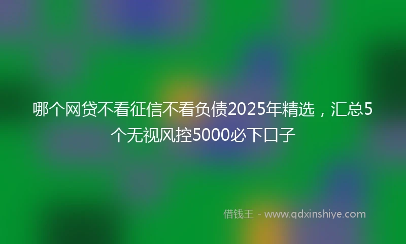 哪个网贷不看征信不看负债2025年精选，汇总5个无视风控5000必下口子